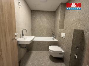 Pronájem bytu 1+kk, Brandýs nad Labem-Stará Boleslav - Brandýs nad Labem, Dřevčická, 41 m2