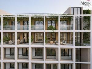 Prodej bytu 2+kk, Golem, 100 m2