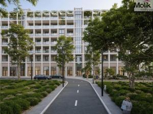 Prodej bytu 2+kk, Golem, 61 m2