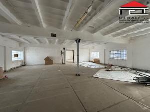 Pronájem skladu, Frýdek-Místek, Pionýrů, 300 m2