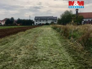 Prodej pole, Přísnotice, 1574 m2