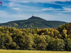 Prodej pozemku pro bydlení, Křižany, 1506 m2