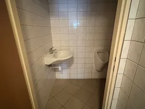 Prodej rodinného domu, Bystřice pod Hostýnem, Přerovská, 420 m2