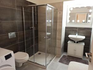 Pronájem bytu 1+kk, České Budějovice 2, O. Nedbala, 42 m2