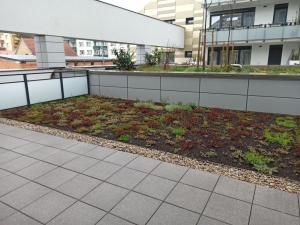 Pronájem bytu 1+kk, České Budějovice 2, O. Nedbala, 42 m2