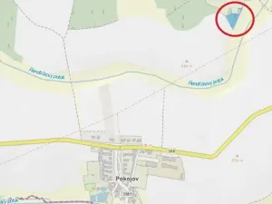 Prodej lesa, Pokojov, 3182 m2