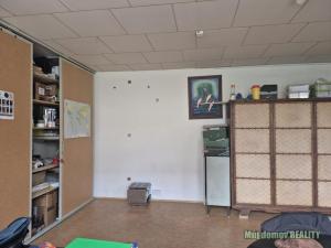 Pronájem výrobních prostor, Světice, V Zahradách, 250 m2