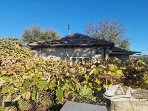 Prodej rodinného domu, General Toševo, Bulharsko, 72 m2