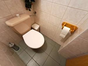 Prodej rodinného domu, Vysoké Veselí, 290 m2