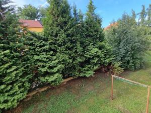 Prodej bytu 3+1, Strakonice, Mlýnská, 74 m2