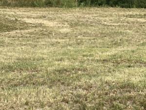 Prodej pozemku pro bydlení, Dolany - Svrčovec, 882 m2