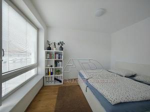 Pronájem bytu 1+1, České Budějovice, Nová, 47 m2
