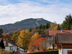 Prodej bytu 2+kk, Železná Ruda, 58 m2