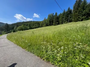 Prodej louky, Jablonec nad Jizerou, 12774 m2