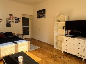 Pronájem bytu 1+1, Praha - Smíchov, Franty Kocourka, 55 m2