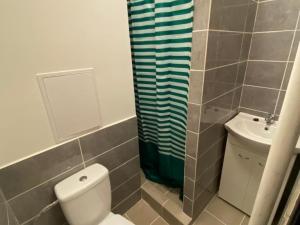 Pronájem bytu 1+kk, Jirkov, Ervěnická, 21 m2