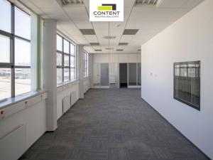 Pronájem výrobních prostor, Cerhovice, Plzeňská, 10000 m2