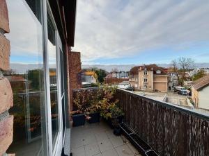 Pronájem bytu 2+kk, Praha, Karla Zicha, 65 m2