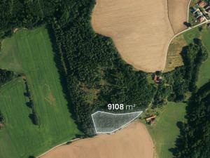 Prodej lesa, Hluboká nad Vltavou - Kostelec, 18716 m2