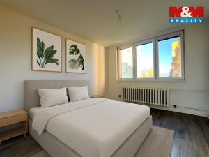 Pronájem bytu 2+1, Ostrava - Hrabůvka, Plzeňská, 55 m2