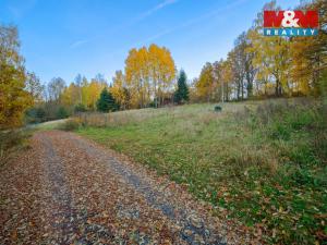 Prodej pozemku pro bydlení, Vlašim - Nesperská Lhota, 1000 m2