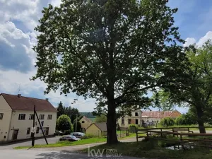 Prodej domu, Skapce, 800 m2