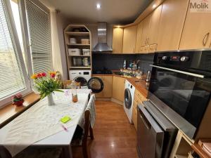 Pronájem bytu 3+1, Most, Maxe Švabinského, 54 m2