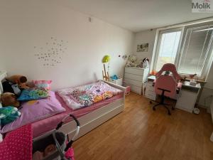 Pronájem bytu 3+1, Most, Maxe Švabinského, 54 m2