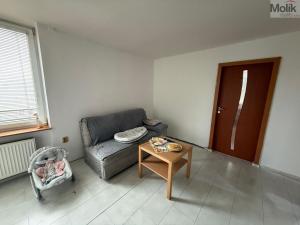 Pronájem bytu 3+1, Most, Maxe Švabinského, 54 m2