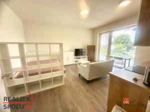 Pronájem bytu 1+kk, Brno - Trnitá, Křenová, 32 m2