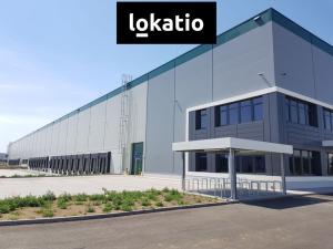 Pronájem skladu, Úžice, 5667 m2