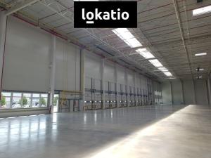 Pronájem skladu, Úžice, 14707 m2