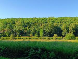 Prodej louky, Nižbor - Žloukovice, 1665 m2
