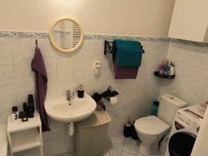 Pronájem bytu 1+kk, Olomouc, Handkeho, 44 m2