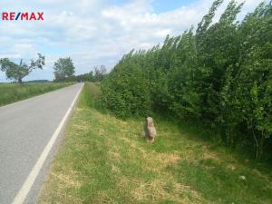 Prodej pole, Doubravice, 17750 m2