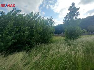 Prodej pole, Doubravice, 17750 m2