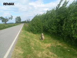 Prodej pole, Doubravice, 17750 m2