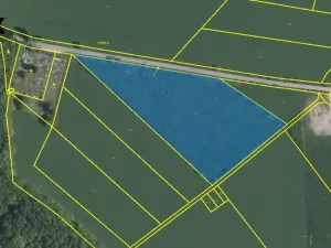 Prodej pole, Doubravice, 17750 m2