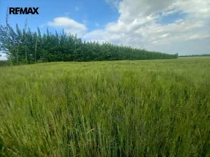 Prodej pole, Doubravice, 17750 m2