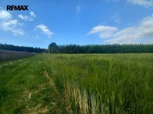 Prodej pole, Doubravice, 17750 m2