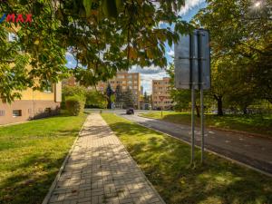 Prodej bytu 2+1, Litvínov - Horní Litvínov, Tylova, 55 m2