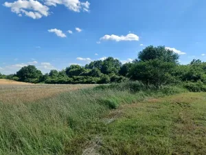 Dražba pozemku, Česká Lípa, 10090 m2