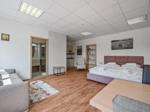 Prodej komerční, Broumov - Velká Ves, Kladská