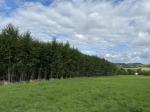 Prodej pole, Česká Kamenice, 108179 m2