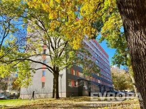 Pronájem bytu 2+kk, Kolín - Kolín II, Moravcova, 38 m2