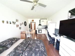 Prodej bytu 1+kk, Praha - Horní Měcholupy, Hornoměcholupská, 38 m2