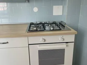 Pronájem bytu 1+1, Ostrava, Newtonova, 41 m2