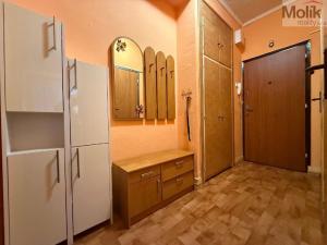 Prodej bytu 2+1, Teplice - Řetenice, Duchcovská, 53 m2