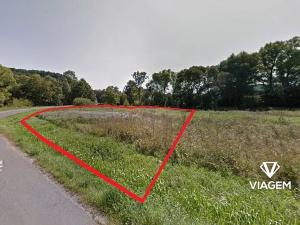 Prodej zahrady, Borovy, 2399 m2