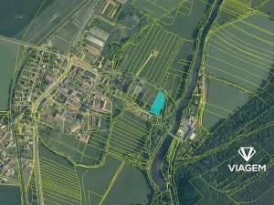 Prodej zahrady, Borovy, 2399 m2